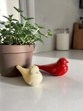 Vintage Bird Salt & Pepper Shakers Set - Red & Cream - 4.5" Long